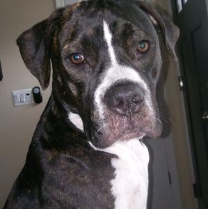 Meet your Posher, Nichole